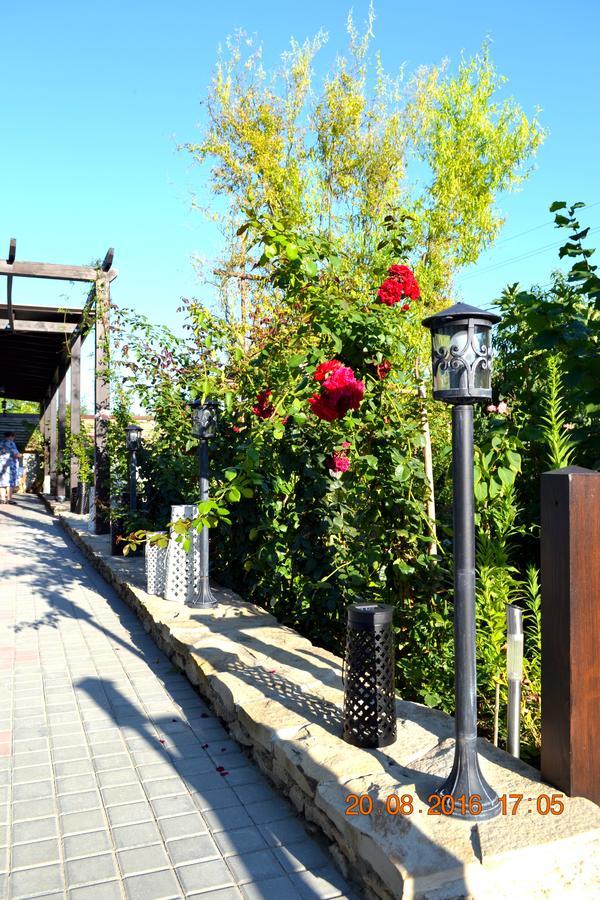 Bed and Breakfast Resedinta Rotundu Butuceny Экстерьер фото