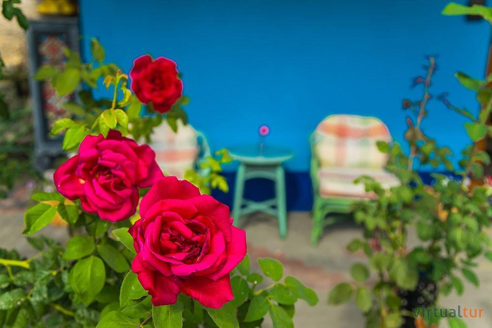 Bed and Breakfast Resedinta Rotundu Butuceny Экстерьер фото